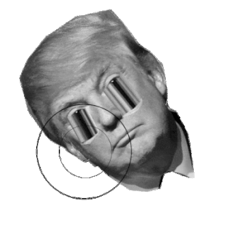 this will display an animated GIF